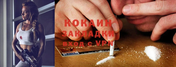 мдпв Гусь-Хрустальный