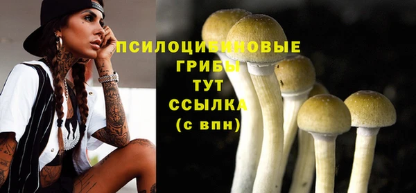 винт Богородицк