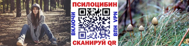 Псилоцибиновые грибы Magic Shrooms  дарнет шоп  Сланцы 